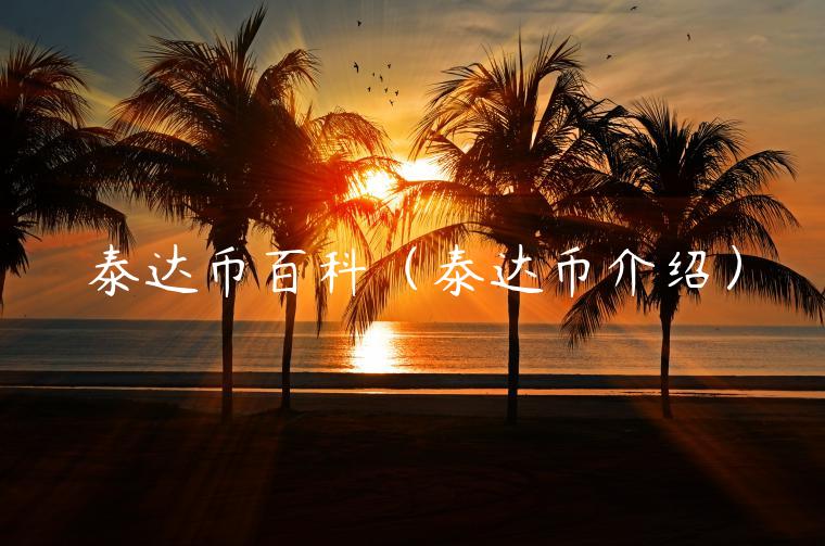泰达币百科(泰达币介绍)插图 泰达币百科(泰达币介绍)