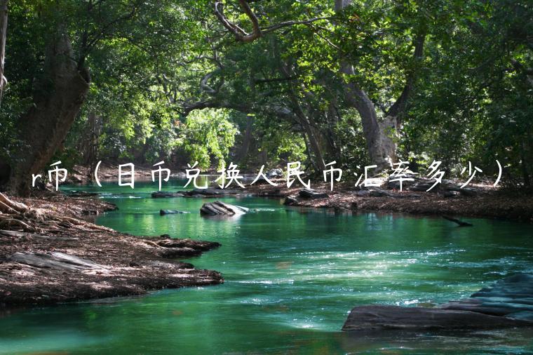 r币（日币兑换人民币汇率多少）