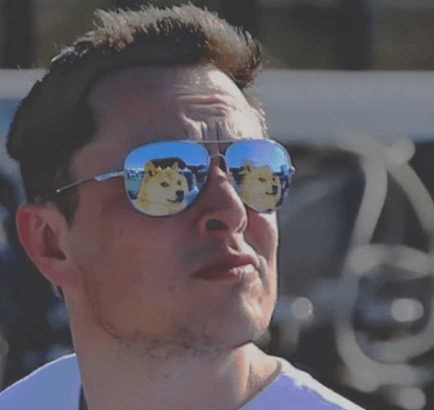 狗狗币涨了多少(狗狗币涨了多少钱)