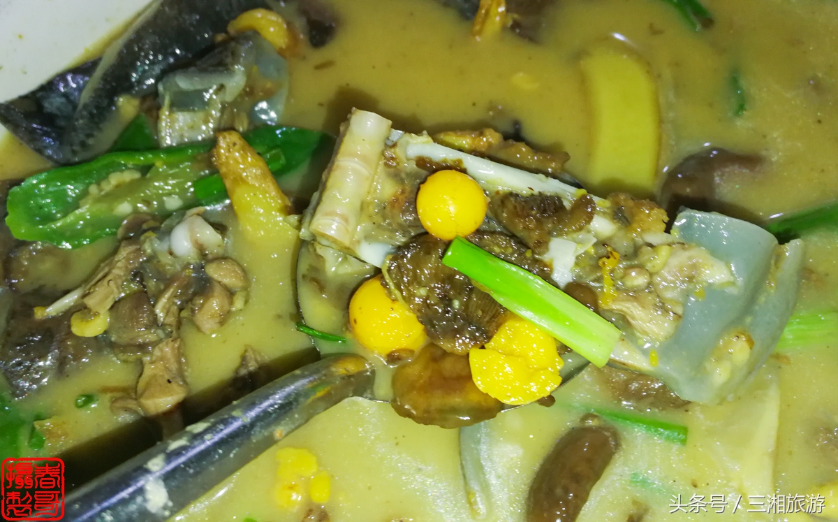 泉源生态农庄（绿源生态农庄）27