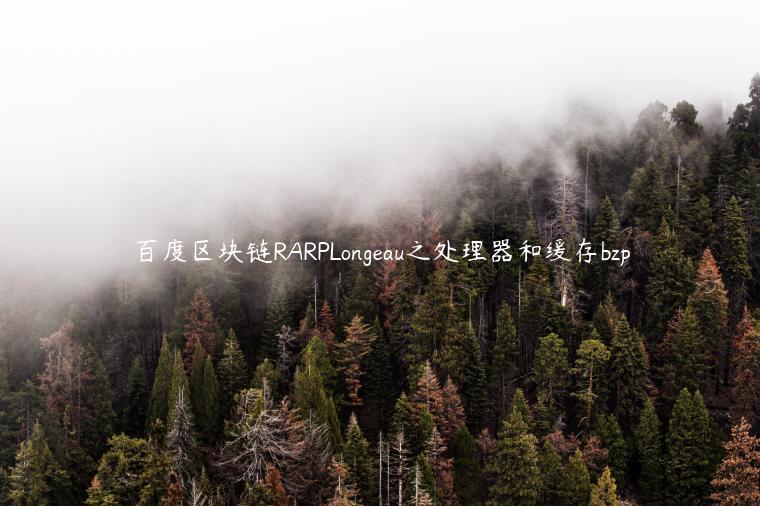 百度区块链RARPLongeau之处理器和缓存bzp