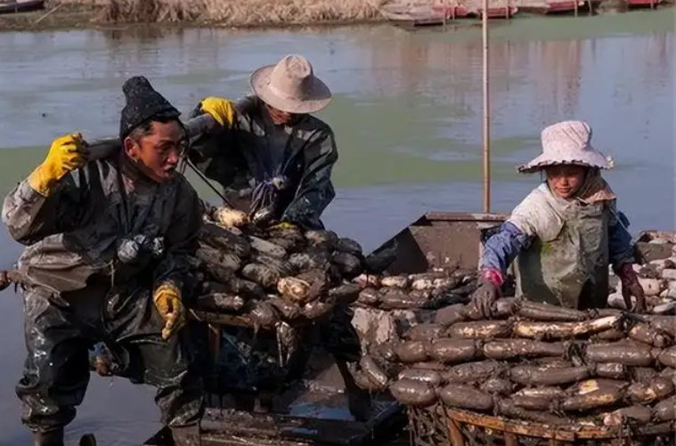 投资10元一小时赚500赚钱（微信投资10元一小时赚500）