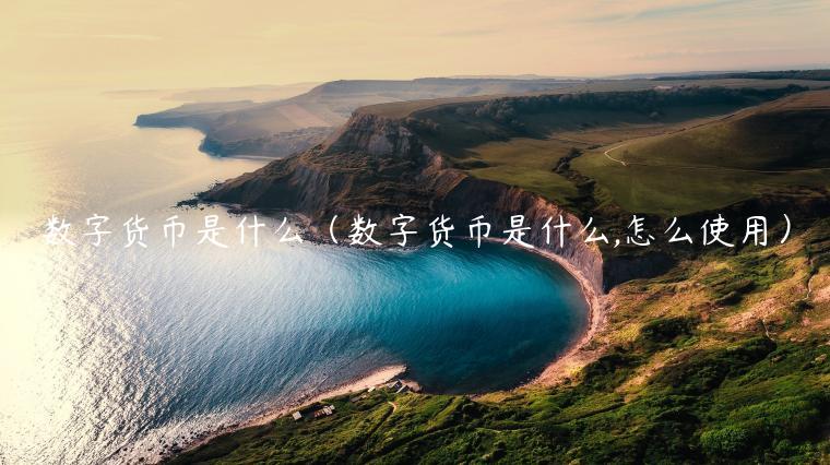 数字货币是什么（数字货币是什么,怎么使用）