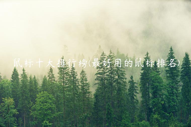 鼠标十大排行榜(最好用的鼠标排名)