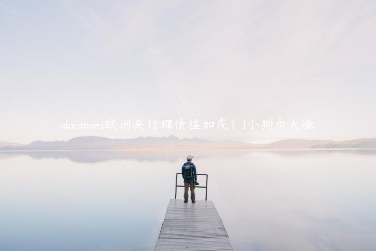 ulocations欧洲央行缩债猛如虎！I小狗币大涨