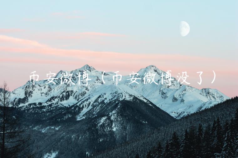 币安微博(币安微博没了)插图 币安微博(币安微博没了)