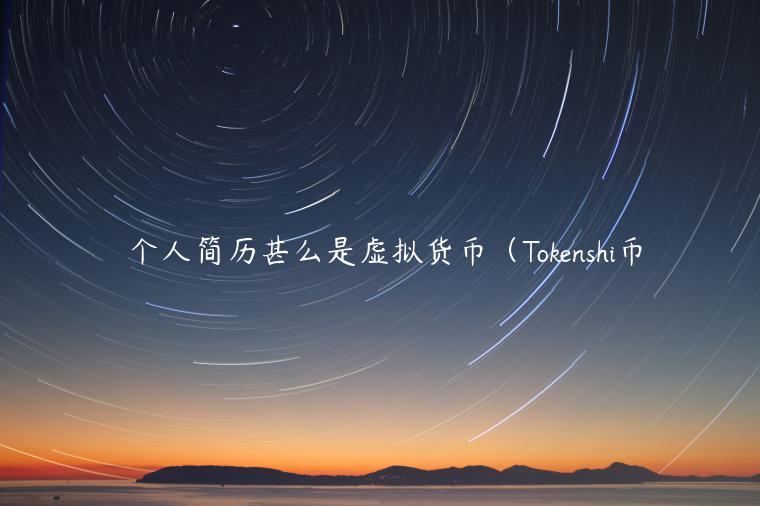 僴个人简历甚么是虚拟货币（Tokenshi币