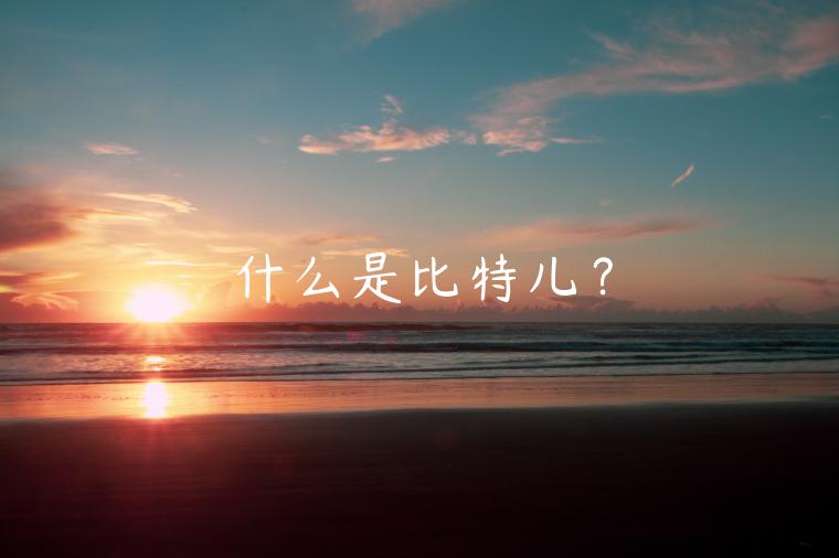 什么是比特儿?插图 什么是比特儿?