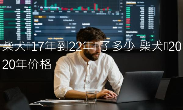 柴犬币17年到22年涨了多少 柴犬币2020年价格