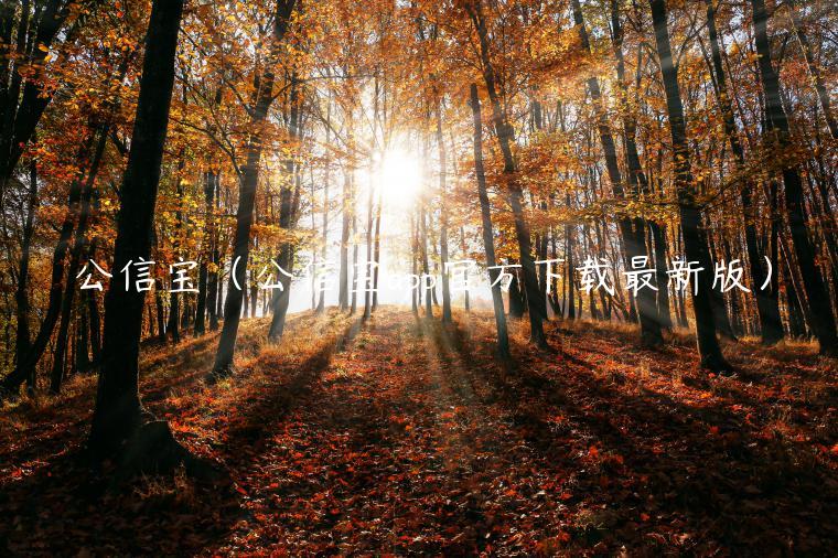 公信宝（公信宝app官方下载最新版）