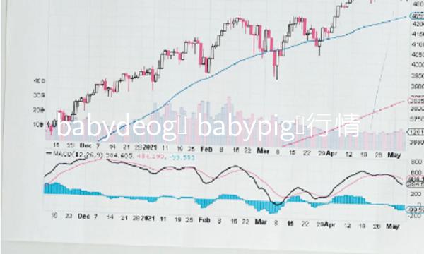 babydeog币 babypig币行情