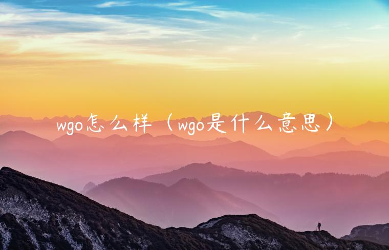 wgo怎么样（wgo是什么意思）