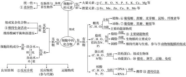 胞吞胞吐的图示（胞吞胞吐简图）