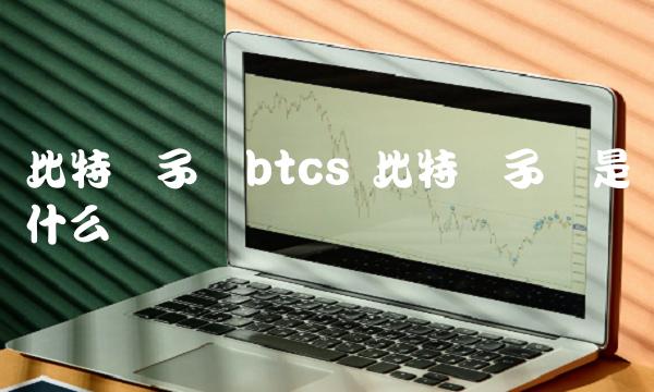 比特币子币btcs 比特币子币是什么