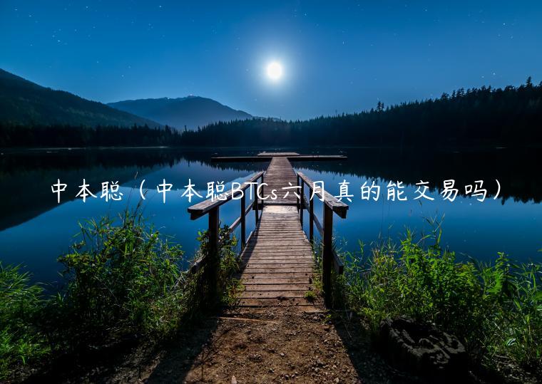 中本聪（中本聪BTCs六月真的能交易吗）
