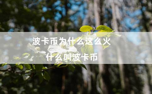波卡币为什么这么火（什么叫波卡币）