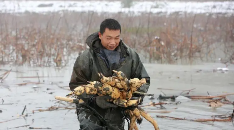 投资10元一小时赚500赚钱（微信投资10元一小时赚500）