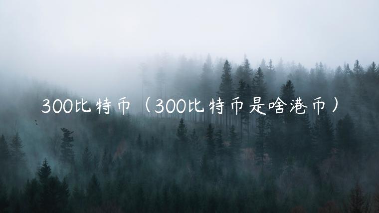 300比特币（300比特币是啥港币）