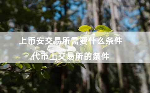 上币安交易所需要什么条件（代币上交易所的条件）