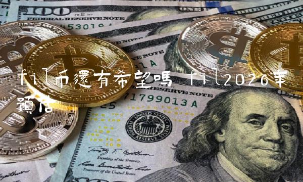 fil币还有希望吗 fil2026年预估