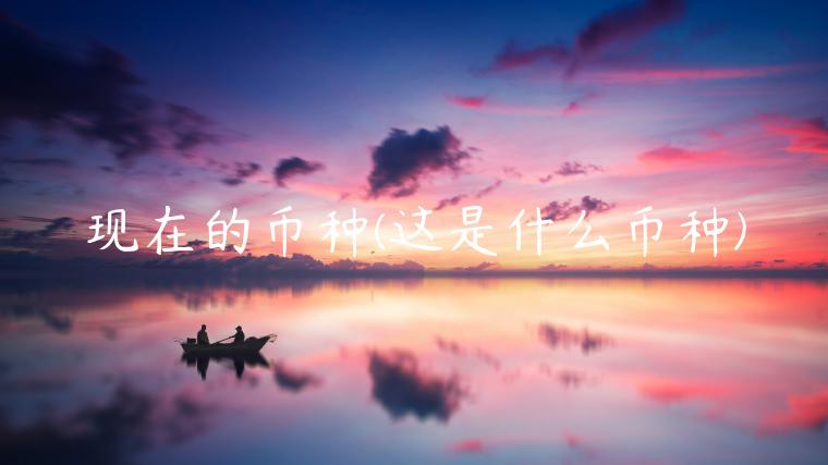 现在的币种(这是什么币种)