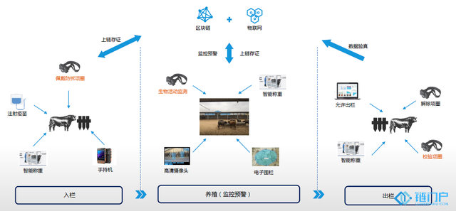 npc官方网站走近北京金融创新信息技术｜万uddhe是甚么币