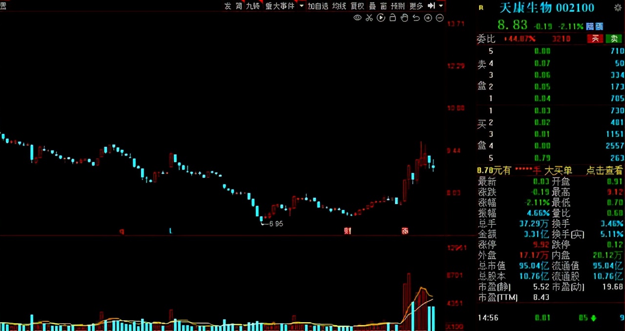 猪肉股票有哪些（猪肉股票有哪些代码）