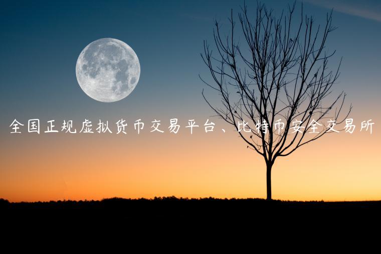 全国正规虚拟货币交易平台、比特币安全交易所