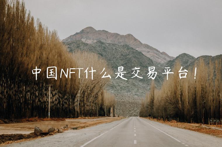 中国NFT什么是交易平台!插图 中国NFT什么是交易平台!