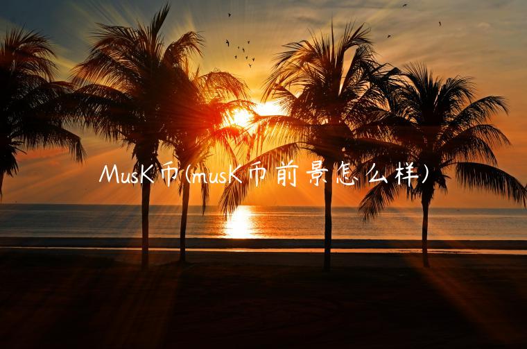 MusK币(musK币前景怎么样)