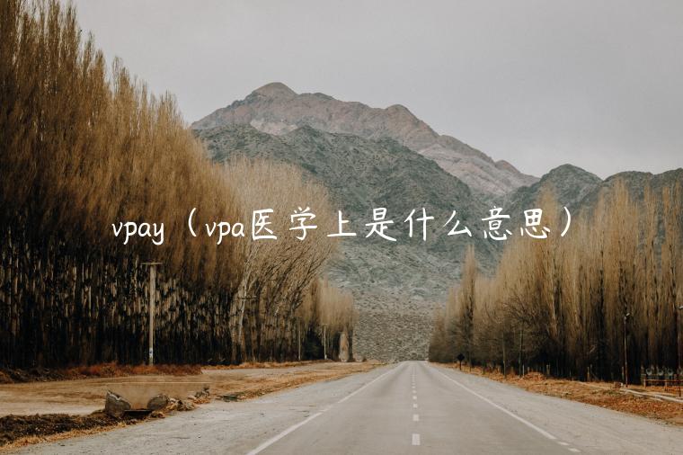 vpay（vpa医学上是什么意思）
