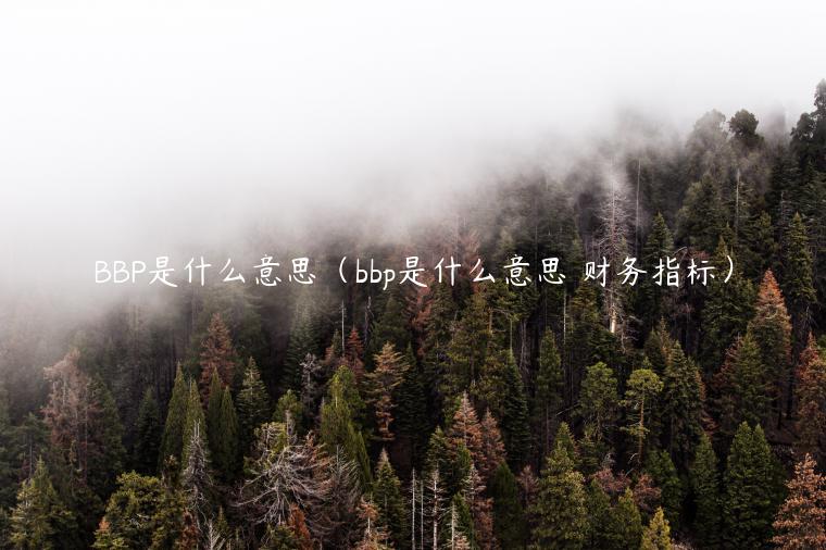 BBP是什么意思（bbp是什么意思 财务指标）