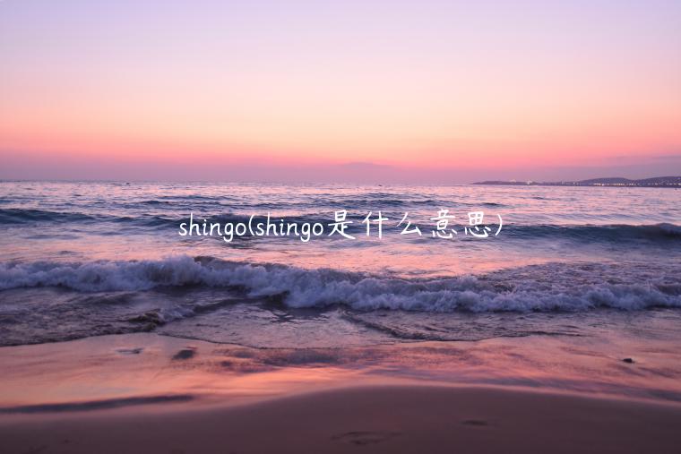 shingo(shingo是什么意思)插图 shingo(shingo是什么意思)