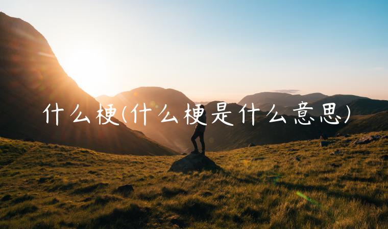 什么梗(什么梗是什么意思)
