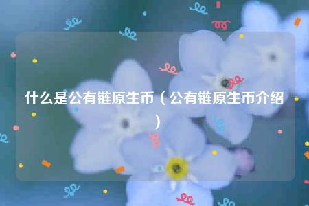 什么是公有链原生币(公有链原生币介绍)