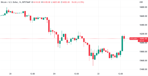 比特币价格重返16000美元 因BTC鲸鱼抛售警告