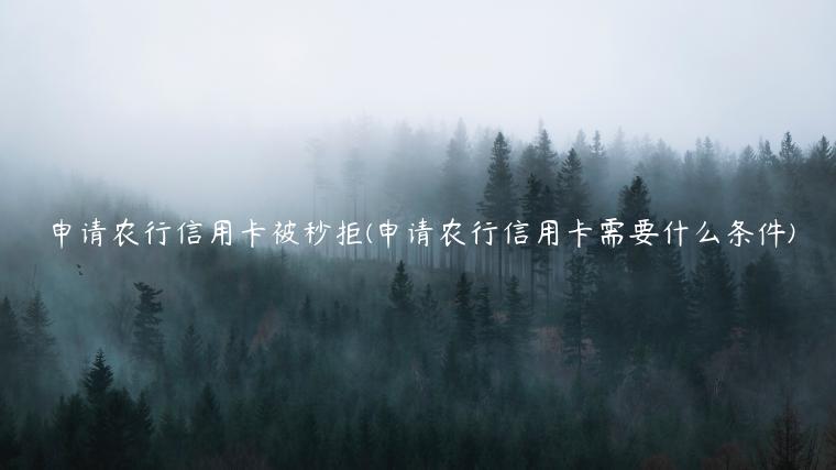 申请农行信用卡被秒拒(申请农行信用卡需要什么条件)
