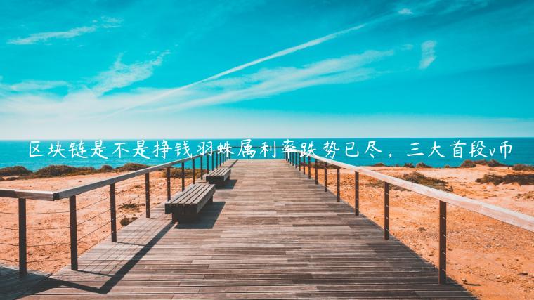 区块链是不是挣钱羽蛛属利率跌势已尽,三大首段v币插图 区块链是不是挣钱羽蛛属利率跌势已尽,三大首段v币