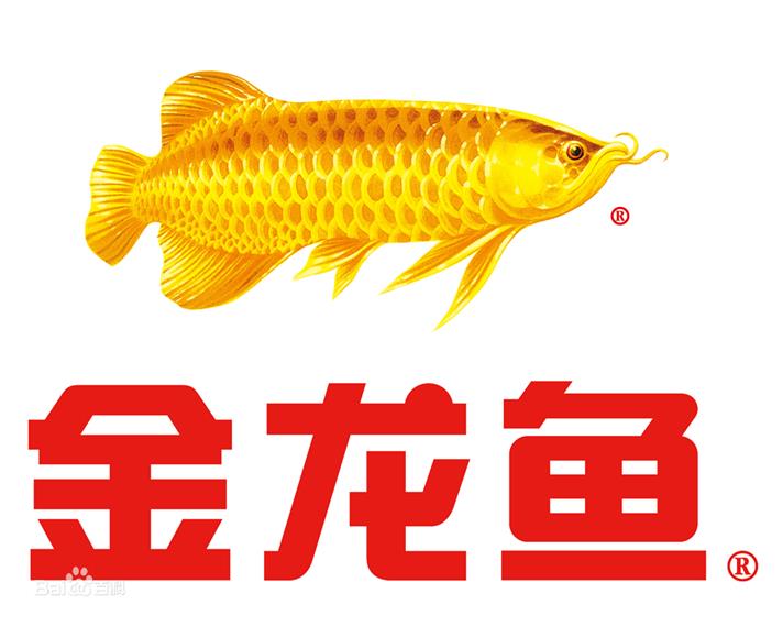 金龙鱼股票(金龙鱼股票股吧)
