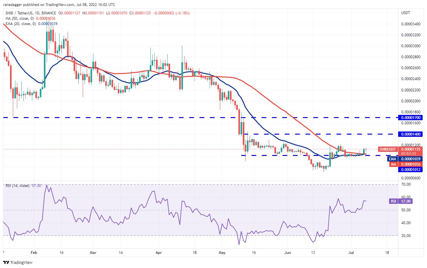 狗狗币行情美元（狗狗币行情美元最新价）
