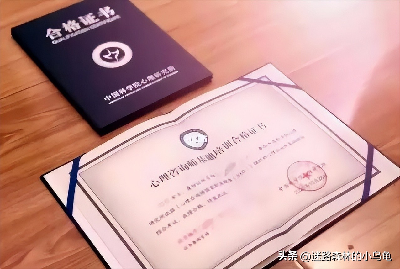 文凭低适合考什么证（没什么文凭考什么证工资最高）7