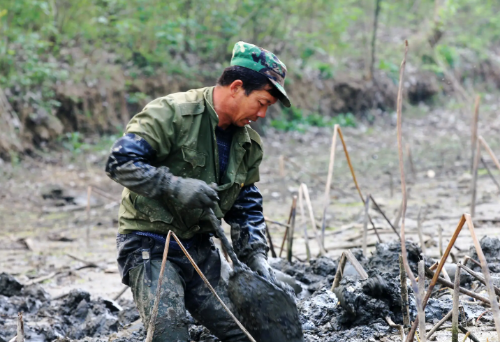 投资10元一小时赚500赚钱（微信投资10元一小时赚500）