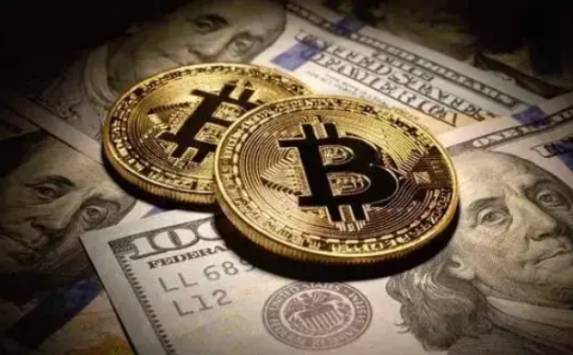 谷子手提包（谷子手提包提款hash是甚么）4