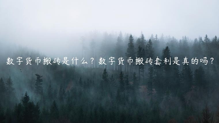 数字货币搬砖是什么?数字货币搬砖套利是真的吗?插图 数字货币搬砖是什么?数字货币搬砖套利是真的吗?