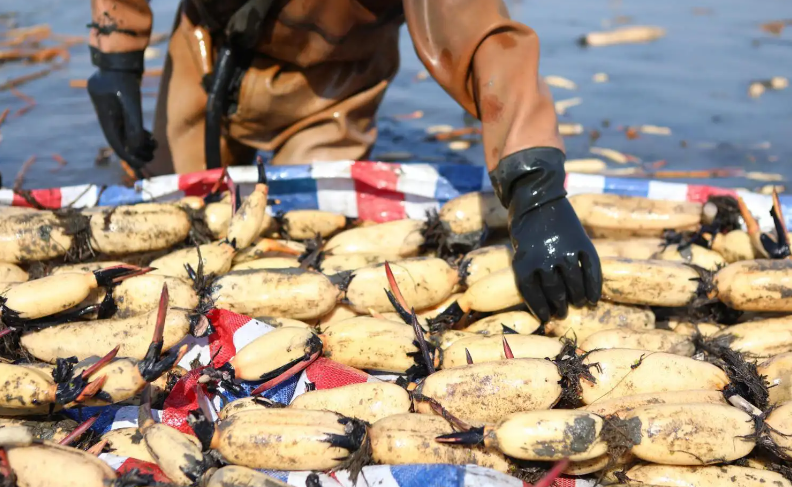 投资10元一小时赚500赚钱（微信投资10元一小时赚500）