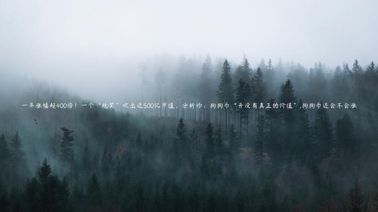 一年涨幅超400倍!一个“玩笑”吹出近500亿市值,分析师:狗狗币“并没有真正的价值”,狗狗币还会不会涨插图 一年涨幅超400倍!一个“玩笑”吹出近500亿市值,分析师:狗狗币“并没有真正的价值”,狗狗币还会不会涨