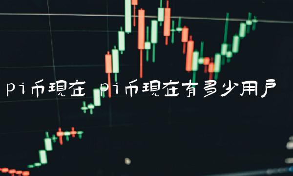 pi币现在 pi币现在有多少用户