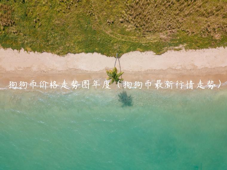 狗狗币价格走势图年度（狗狗币最新行情走势）