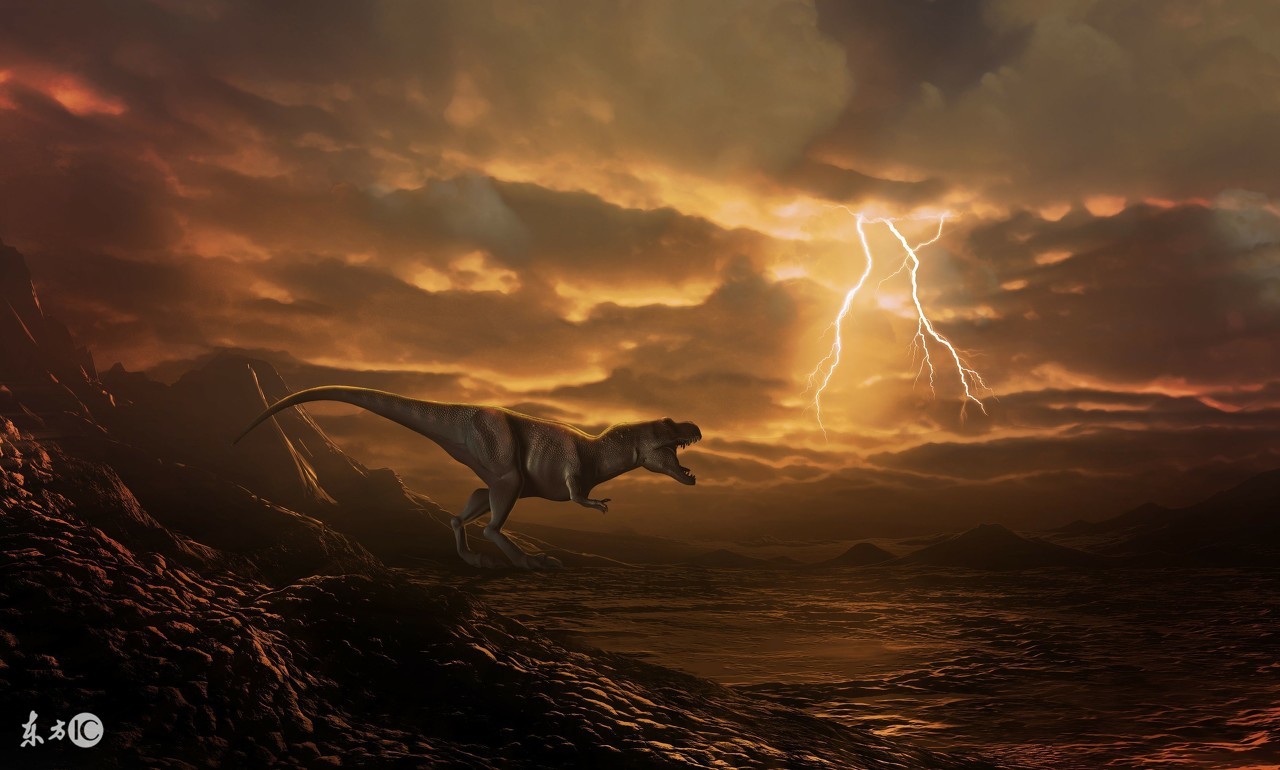 火山小视频赚钱是真的吗(火山小视频怎么赚钱是真的吗)1 火山小视频赚钱是真的吗(火山小视频怎么赚钱是真的吗)1