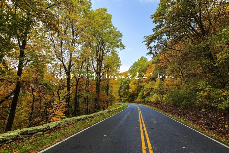 Nano币RARP索引Longeau是甚么? bitmex